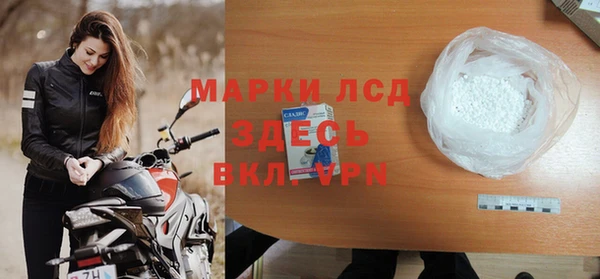 PSILOCYBIN Алзамай