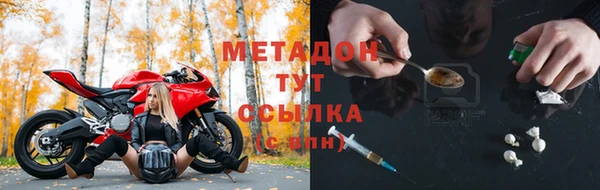 PSILOCYBIN Алзамай
