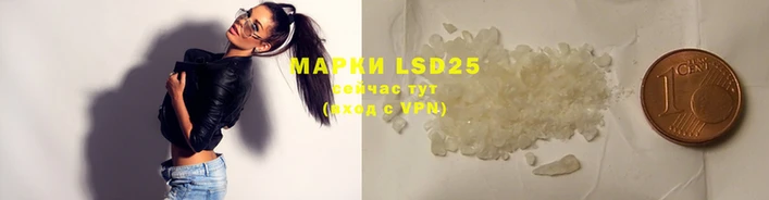 PSILOCYBIN Алзамай