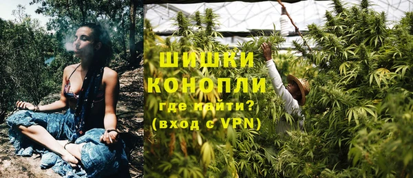 PSILOCYBIN Алзамай