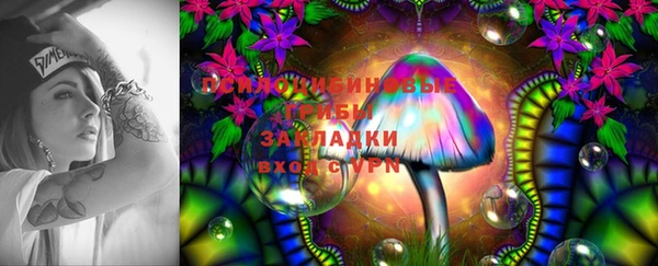 ешки Пролетарск